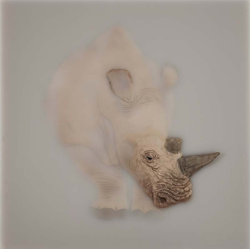 Cai Lei Rhino Artwork